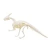 Rchaeological Excavation Of Dinosaur DIY Handmade Assembled Skeleton Parent Child Interaction Exploring Interesting And Experiences Kid Makeup For Girls Cat -Wilton Shop 21VxYgYETSL