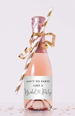 Will You Be My Bridesmaid Proposal Mini Champagne Bottle Labels - Set Of 12 (Rose Gold - Not Foil) 13 Will You Be My Bridesmaid Proposal Mini Champagne Bottle Labels - Set Of 12 (Rose Gold - Not Foil) -Wilton Shop 313q5Ro6jhL