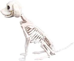 IFOTIME Prop Dog Halloween Skeleton Party Bones Horror Decoration Animal Shop Education Stem Board Games (AS Show #1, One Size) -Wilton Shop 31ZmSTqIWxL. AC