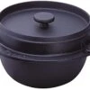, Traditional Japanese Cast Iron Gohan Nabe Rice Cooker Iwachu Nambu Cast Iron Induction Cookware Made In Japan, 3 Go