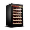 QYTECbx Freestanding Wine Cellars For 28 Pieces Wine Refrigerator 65L Adjustable Thermostat Glass Door Wine Champagne Storage -Wilton Shop 410mJHunJ7L
