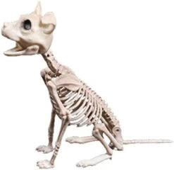 IFOTIME Prop Dog Halloween Skeleton Party Bones Horror Decoration Animal Shop Education Stem Board Games (AS Show #1, One Size) -Wilton Shop 414bvBjScOL. AC