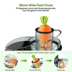 Juicers, Bagotte Centrifugal Juicer With 65mm Wide Feed Chute, 2 Speed Juicer Machines For Vegetables And Fruits, BPA-Free Juice Extractor With 304 Stainless Steel, Easy To Clean -Wilton Shop 416h22us4oL