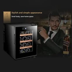 12 Bottles Wine Storage Cabinets, Constant Temperature Wine Cabinet, Small Mini Air-Cooled Wine Cabinet, Household Moisturizing Cabinet -Wilton Shop 41AOfczstbL
