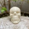 65mm Skull 3-Part Chocolate Mold (BWB) -Wilton Shop 41AsRHyYxqL