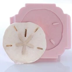 Sand Dollar Silicone Mold Food Safe Fondant, Chocolate, Candy, Resin, Polymer Clay, Soap, Craft, Jewelry Food Mold. -Wilton Shop 41G9QjYm5wL