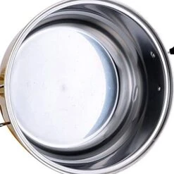 Multi-Function Electric Steamer Golden Thick Three-Layer Steel 30cm Diameter -Wilton Shop 41I1Rj8OOiL