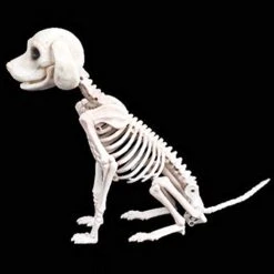 IFOTIME Prop Dog Halloween Skeleton Party Bones Horror Decoration Animal Shop Education Stem Board Games (AS Show #1, One Size) -Wilton Shop 41I4E320cKL