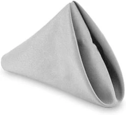 - 1 Dozen 17" Cloth Dinner Table Napkins - Machine Washable Restaurant/Wedding/Hotel Quality Polyester Fabric - Red -Wilton Shop 41WbZpfltJL. AC 1