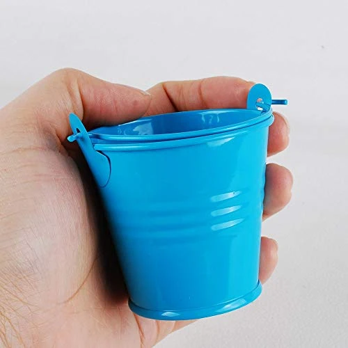24PCS Mini 2 INCH Metal Tin Buckets Pails With Handles For Halloween Christmas Party Favor, Succulent Planting 7 24PCS Mini 2 INCH Metal Tin Buckets Pails With Handles For Halloween Christmas Party Favor, Succulent Planting - Image 5