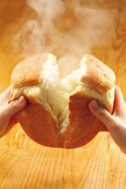 Panasonic : NEW Home Bakery (One Loaf Of Bread Type) SD-BH105-P Pink (Japan Import) -Wilton Shop 41fVOsB4oSL