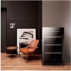 ATAAY Red And White Wines, Champagne Coolers, Free-Standing Single-Zone Refrigerators And Cellar Coolers, Digital Temperature Control -Wilton Shop 41jkO7jkTGL
