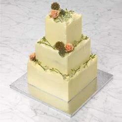 Tala Performance, 20cm Square Cake Tin, Professional Gauge Carbon Steel With Whitford Eclipse Non-Stick Coating, Cake Pan -Wilton Shop 41kLtqyMpoL