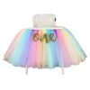 1st Birthday Rainbow Tutu For High Chair Decoration For Party Supplies With One Banner -Wilton Shop 41q2h0NKMKL
