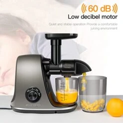 IRAGO Juicer Machines, Slow Masticating Juicer Extractor Two Speed Adjustment, Easy To Clean, Quiet Motor, Cold Press Juicer For Vegetables And Fruits, BPA-Free (Grey) 10 IRAGO Juicer Machines, Slow Masticating Juicer Extractor Two Speed Adjustment, Easy To Clean, Quiet Motor, Cold Press Juicer For Vegetables And Fruits, BPA-Free (Grey) -Wilton Shop 41qhSF0ORyL