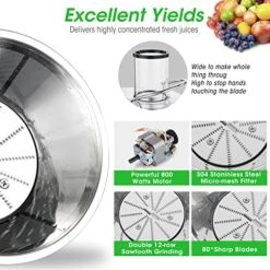 600W 3 Speeds Juicer Machines Vegetable And Fruit, Regenerate Centrifugal Juice Extractor With Big Mouth 3” Feed Chute, Easy To Clean, BPA-Free Compact Centrifugal Juice Maker, Black -Wilton Shop 515gEiH0NzL