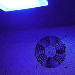 Wine Cooler Large Capacity Display Wine Cooler Beverage Refrigerator Strong Cabinet For Commercial -Wilton Shop 5176QbKnu2L