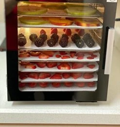 (12 Pack) Silicone Dehydrator Sheets, Dostk Premium Non Stick Silicone Mesh For Fruit Dehydrator, Dehydrator Tray Liner Reusable (14 X 14 Inch) -Wilton Shop 519kXdxTo2L