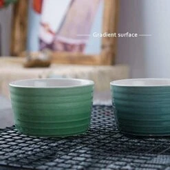 Souffle Ramekins Porcelain Dishes 240Ml Embossed Souffle Creme Brulee For Baking And Dipping Sauces - Gradient Color Glaze Ring Pattern Baking Bowl,6pcs -Wilton Shop 51AMEeYdvNL 1