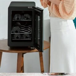 QYTECbx Freestanding Wine Cellars Mini Thermostat Wine Cabinet Black Red Wine Beer Mini Bar Fridge Wine Cooler Hold 6/12 Bottles Air Conditioner -Wilton Shop 51DUJ0u1jwL