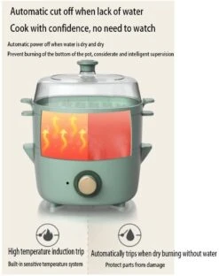 Lectric Food Steamer For Cooking, One Touch Vegetable Steamer, Multifunctional Steamer, Timed Steaming For 60 Minutes, Cozy Greenish, 1500W -Wilton Shop 51Eo4JvoySL