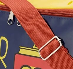 7885006 Term Bag 15L 32X20X26 Cool Festival QD, Stainless Steel -Wilton Shop 51Hq4LX607L