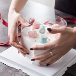 Cake Collars 4 X 394inch - Transparent Cake Rolls, Clear Cake Strips, Acetate Sheet For Chocolate Mousse Baking, Cake Decorating -Wilton Shop 51JEZV7mMWL