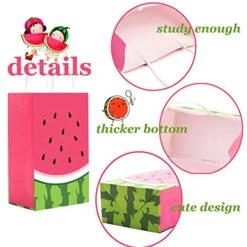 Watermelon Goodie Bag, 12 Pcs Watermelon Candy Bags Watermelon Treat Bags Tropical Fruit Gift Bags For Summer Garden Pool Party, One In A Melon Decorations Party Favor Supplies, Birthday Party Bags