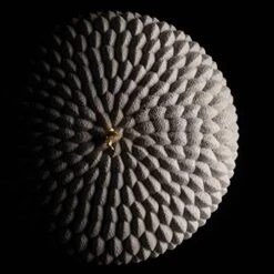 Silikomart HONORE Silicone Mould 8 Silikomart HONORE Silicone Mould -Wilton Shop 51V8xFnMPyL