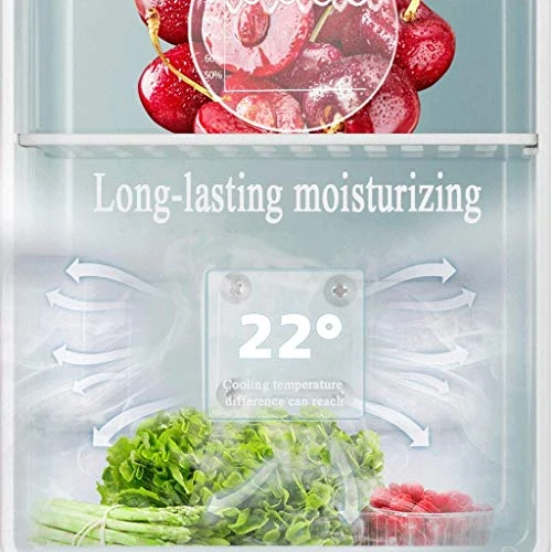 TONPOP Mini Refrigerator Cooler Warmer 12 Liter Compact Fridge Tempered Glass Single Door Small Chiller For Home Office Car 7 TONPOP Mini Refrigerator Cooler Warmer 12 Liter Compact Fridge Tempered Glass Single Door Small Chiller For Home Office Car - Image 5