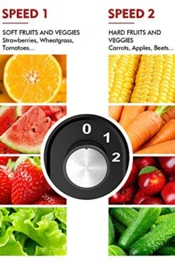 [ Unique Version] AZEUS Centrifugal Juicer Machines, Juice Extractor With Germany-Made 163 Chopping Blades (Titanium Reinforced) & 2-Layer Centrifugal Bowl, High Juice Yield, Easy To Clean, Anti-Drip,100% BPA-Free, ETL Listed, Catcher & Brush Included -Wilton Shop 51dQekcCPyL