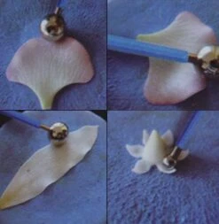 24pcs Gumpaste Petal&Calyx Cutters Set,4pcs Modelling Tools,Stainless Steel Fondant Mold Sugarcraft Flower For Cake Decorating -Wilton Shop 51daMHQ0a5L