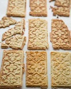 Wilton Shop -Wilton Shop 51h9kfFmnrL