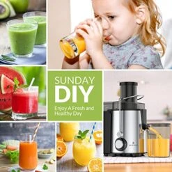 Juicer, Easehold Juicer Machines, Vegetable And Fruit Centrifugal Juicer, 600W Juice Extractor, 2-Speed Setting, Anti-Drip With Juice Jug And Pulp Container -Wilton Shop 51lYOuusLBL