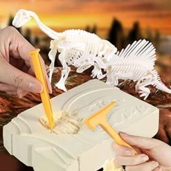 Rchaeological Excavation Of Dinosaur DIY Handmade Assembled Skeleton Parent Child Interaction Exploring Interesting And Experiences Kid Makeup For Girls Cat -Wilton Shop 51lhr005HmL