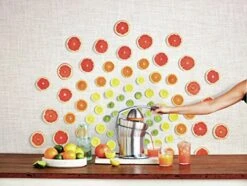 Breville Citrus Press Pro Electric Juicer, Stainless Steel, 800CPXL 11 Breville Citrus Press Pro Electric Juicer, Stainless Steel, 800CPXL -Wilton Shop 51s1TrrIhEL