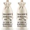 2 Pieces Christmas Teacher's Survival Kit Wine Bags Present For Teacher For Coworkers Teacher Appreciation Canvas Wine Bottle Bags With Drawstrings For Graduation Party