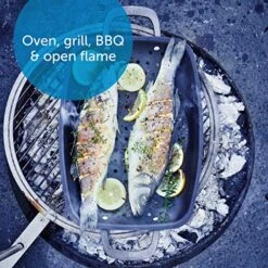 Pre-Seasoned Carbon Steel, 15" BBQ Roaster With Holes For Grilling With Carbon Steel Handles, Induction, Oven Safe, Black -Wilton Shop 61iF2QUEFdL